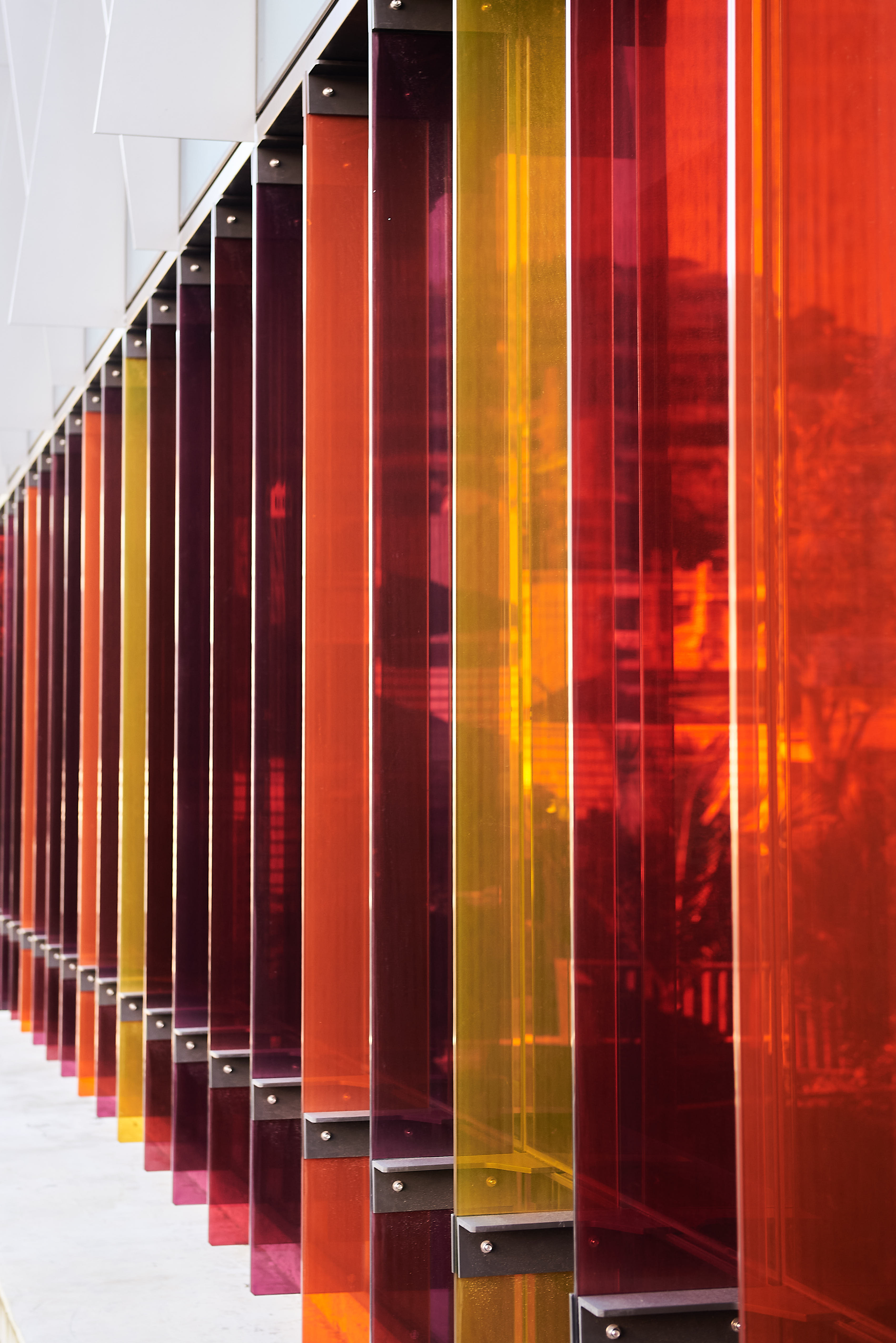 Te Wao Nui - Wellington Children's Hospital